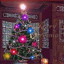 ���� ����, �����������, 51 ��� - ��������� 21 ������ 2019 � ������ ���� ����������