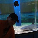 ���� �������, �������, 41 ��� - ��������� 11 ������� 2019 � ������ ���� ����������