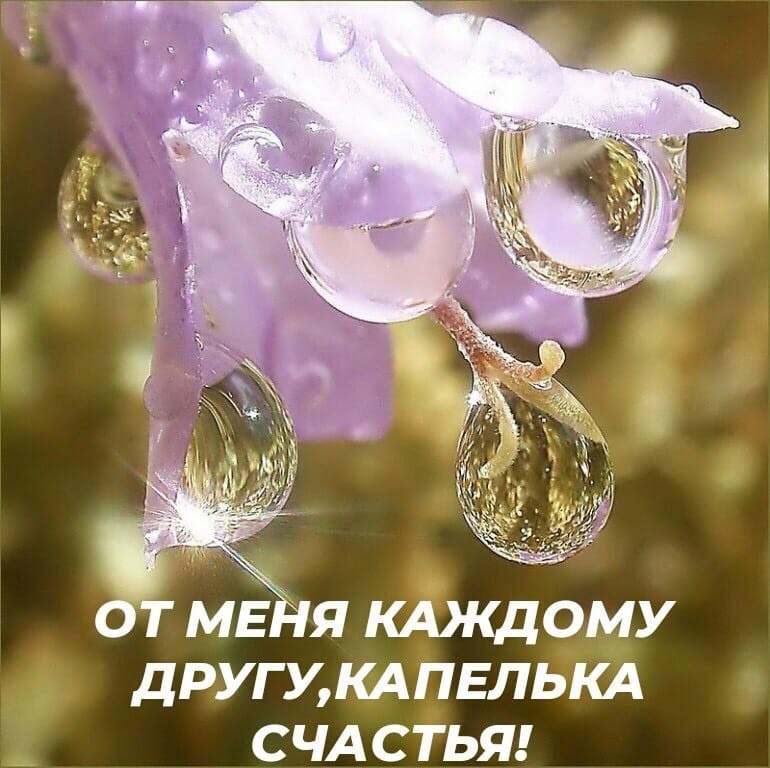   ,    . - 4  2019  15:57