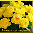 ���� ����, �����-���������, 51 ��� - ��������� 24 ������� 2019 � ������ ���� ����������