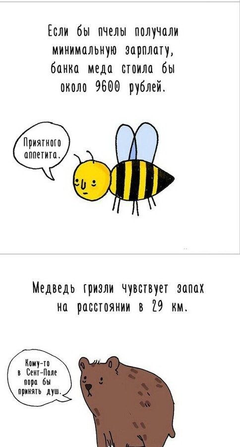    - 5