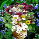 ���� ��������, ����������� - ��������� 25 ���� 2019 � ������ ���� ����������