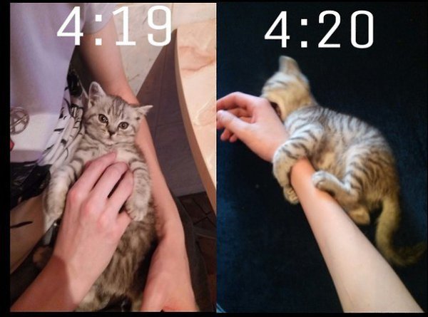    - 27  2019  03:42