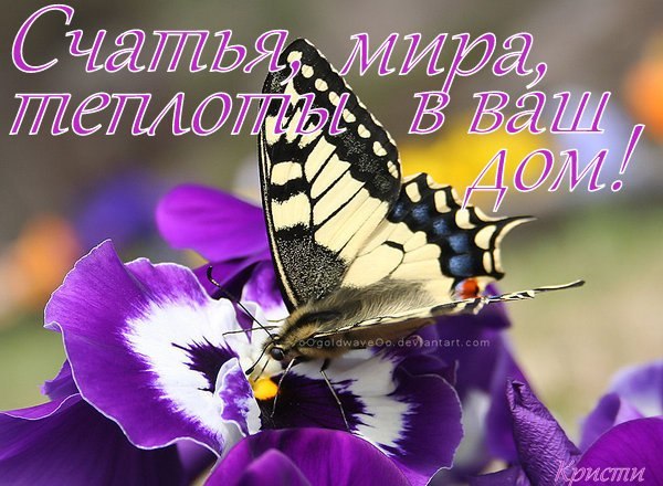 ����������� � ���������, �������� �� ������ ����. - 24 ��� 2019 � 15:04