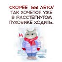 ���� ������, �����-���������, 41 ��� - ��������� 31 ��� 2019 � ������ ������ ��������