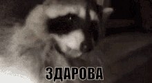 ���� �������, ���������, 43 ���� - ��������� 16 ���� 2019 � ������ ���� ����������