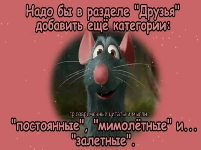  - 20  2019  08:51