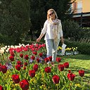 ���� �����, �����, 67 ��� - ��������� 2 ��� 2019 � ������ ���� ����������