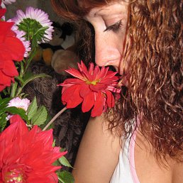 ��������, ��������, 41 ���