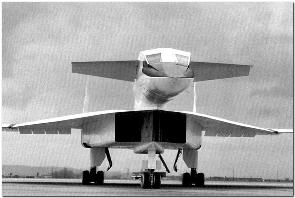     .,  1954        ... - 5