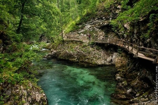  Vintgar Gorge, o. |   - 2