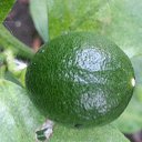 ���� �����, ����, 45 ��� - ��������� 1 ���� 2019