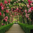 ���� ���������, ������, 51 ��� - ��������� 26 ��� 2019 � ������ ������ ��������