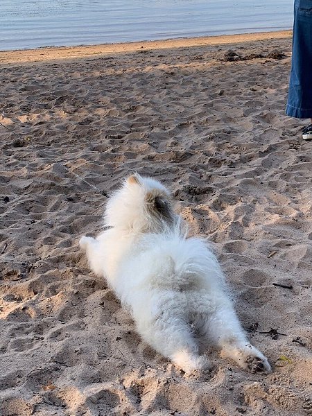 Relax