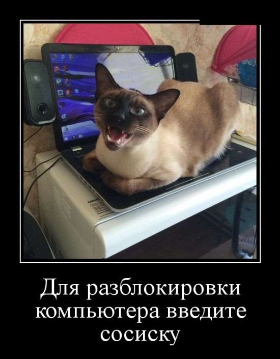 ✿ܓ☘ ������ ☕ ◕‿◕ ☕ ��������.☘ ✿ܓ - 2 ������� 2019 � 13:58