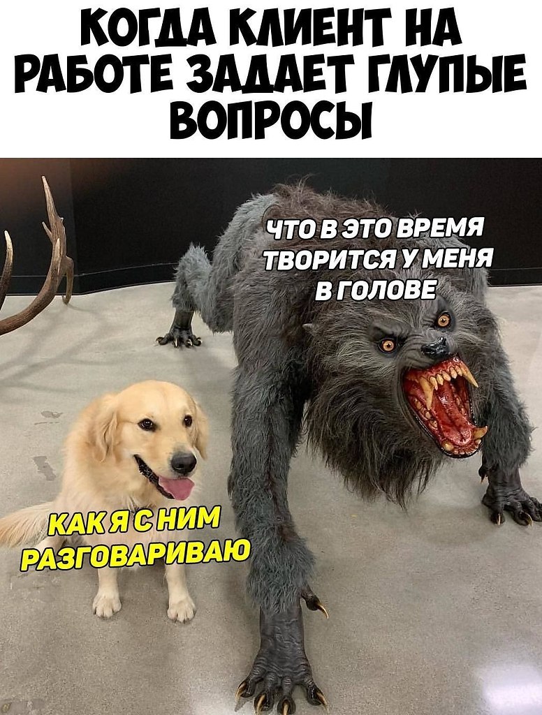    :D - 24  2019  02:32