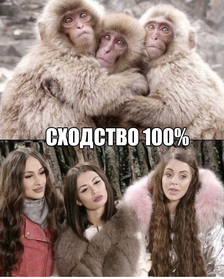    :D - 15  2019  03:42