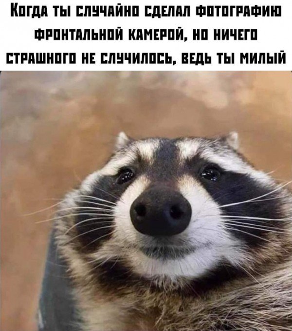 На уроке географии. - Дети сегодня мы будем изучать континент Америка. Маша, иди к доске и покажи на ...