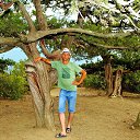 ���� �������, ����� - ��������� 24 �������� 2019