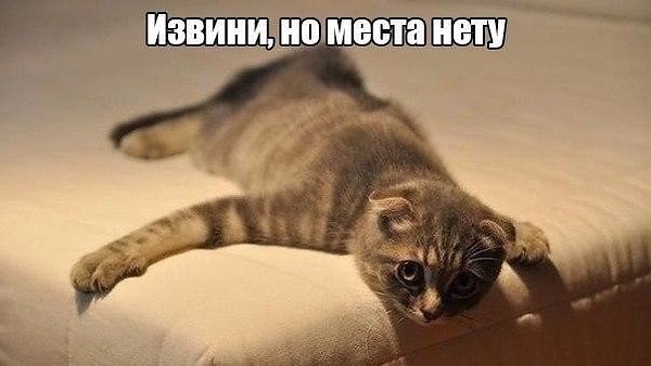    - 1  2019  03:54