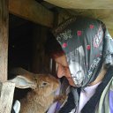 ���� ���������, ���������, 67 ��� - ��������� 23 ������ 2019 � ������ ���� ����������