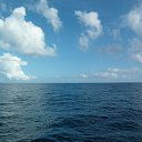 ���� �������, ������������ - ��������� 24 �������� 2019 � ������ ���� ����������