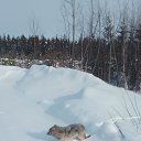 ���� �������, ������, 47 ��� - ��������� 5 ������� 2019 � ������ ������ ��������