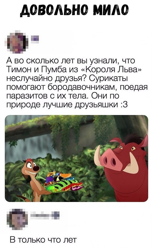   - 23  2019  00:52