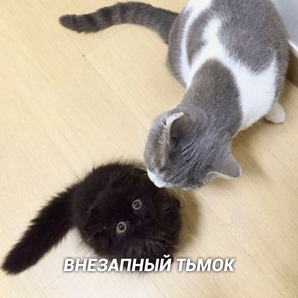 Bu o: