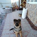 ���� Farruh, ����������, 52 ���� - ��������� 1 ���� 2019 � ������ ���� ����������