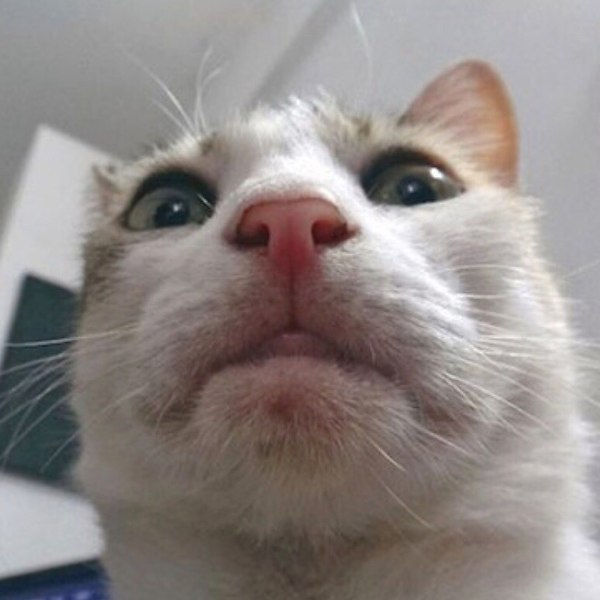         -: - 2