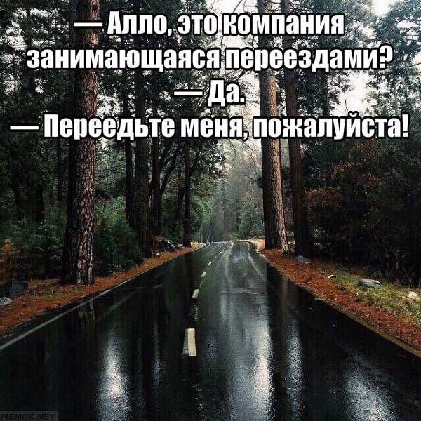   - 8  2019  14:08