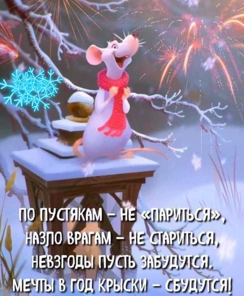   ,    . - 25  2019  23:51