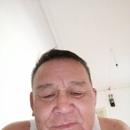 ����, ������, 65 ���