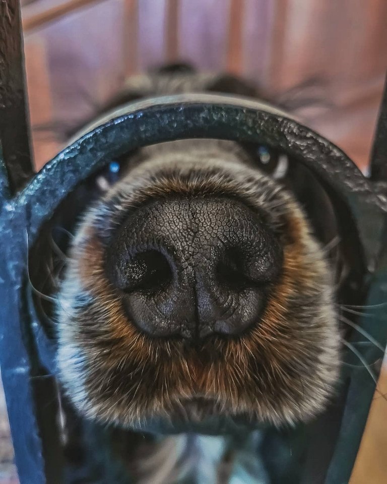  ,      - 5