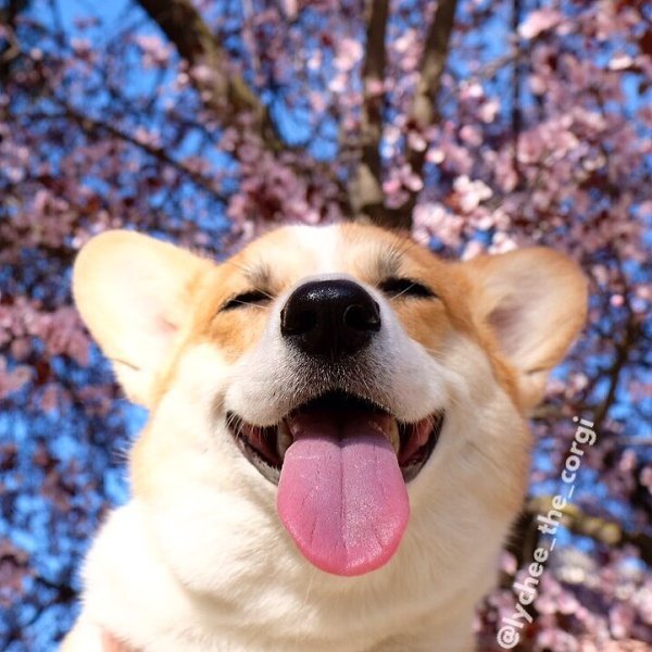  -  !