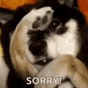 ���� �,,,,,�, ������ - ��������� 25 ������� 2019 � ������ ���� ����������