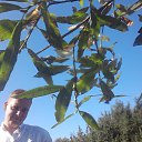 ���� �������, �����-���������, 43 ���� - ��������� 2 �������� 2019 � ������ ������ ��������