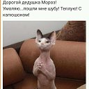 ���� ���������, ����� - ��������, 49 ��� - ��������� 25 ������� 2019