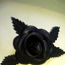 ���� ����, �������� - ��������� 23 ���� 2019 � ������ ���� ����������