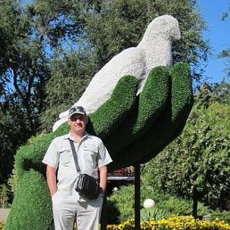 ���� ��������, ����, 54 ���� - ��������� 5 ������� 2019