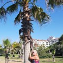 ���� ���������, �����-��������� - ��������� 1 ���� 2019 � ������ ���������� ������