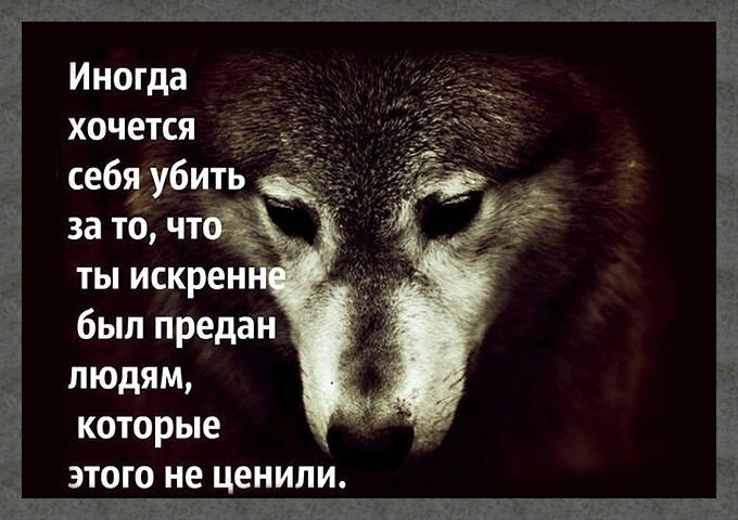 ☆ ☆ - 12  2019  18:31