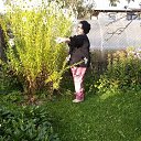������������ ����� �� ������� ���������� ������
