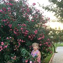 ���� ����, ���, 71 ��� - ��������� 22 ������ 2019 � ������ ���� ����������