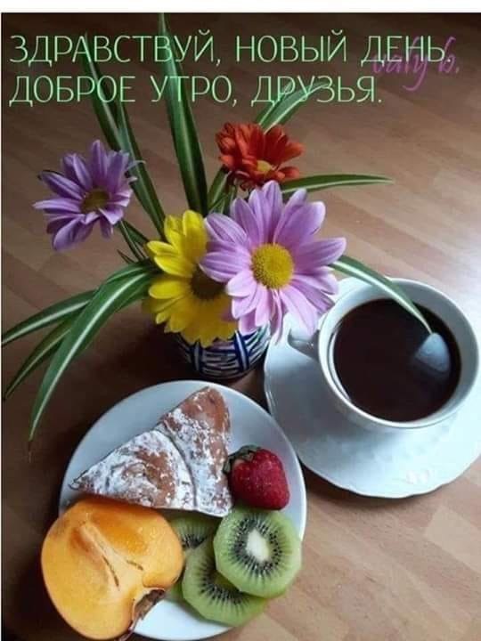   ,    . - 7  2019  08:33 - 2