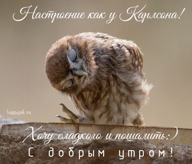 ***Victoria Viktorovna*** - 9  2019  08:24
