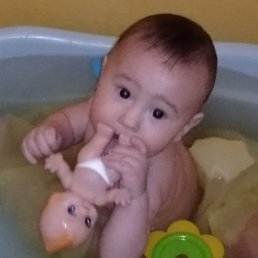 ���������, ���������, 42 ����