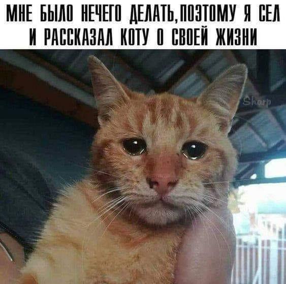  - 6  2019  09:40 - 4