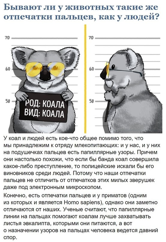       - 10